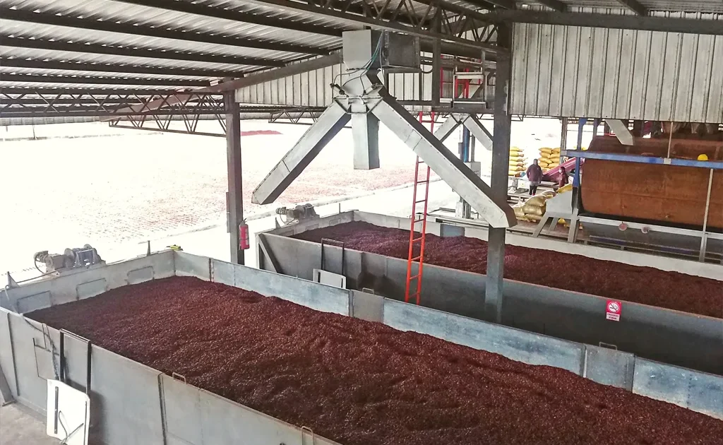 Mecanizacion de post cosecha cacao
