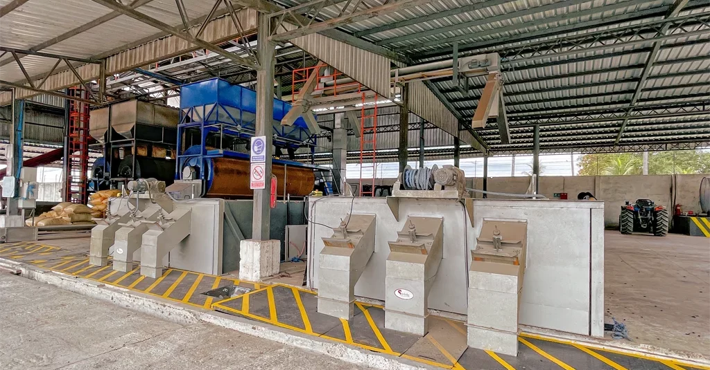 mecanización planta de cacao serintu