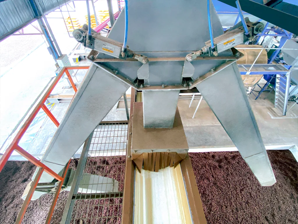 mecanizacion planta de cacao