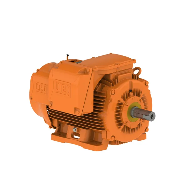 motor-linea-industrial-w22-mining