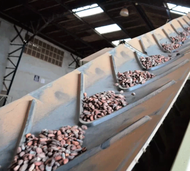 Banda Tipo chevron Banda Tipo chevron