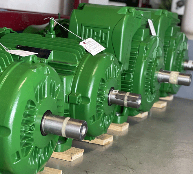 Motores electricos trifasicos Weg Serintu
